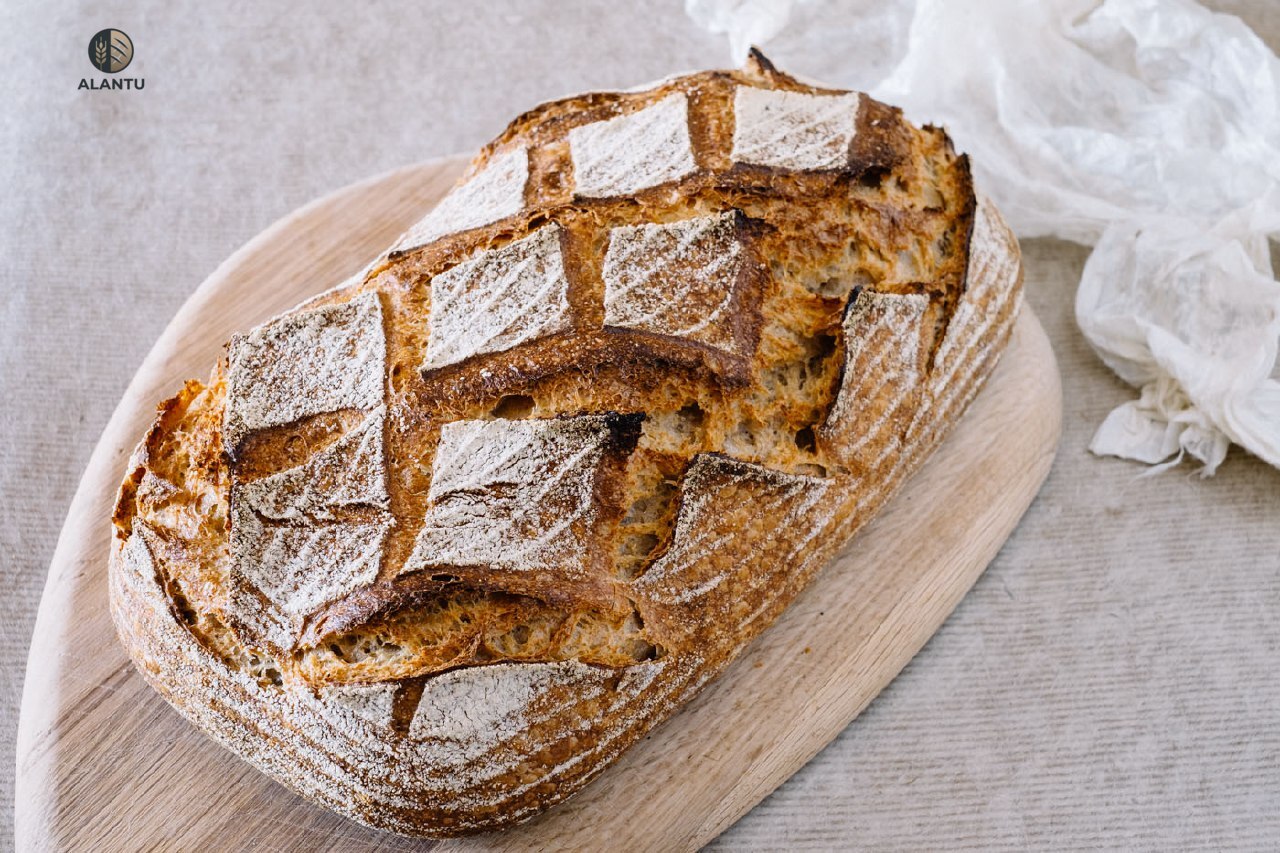 alantu ancient emmer kombucha sourdough whole loaf.jpg