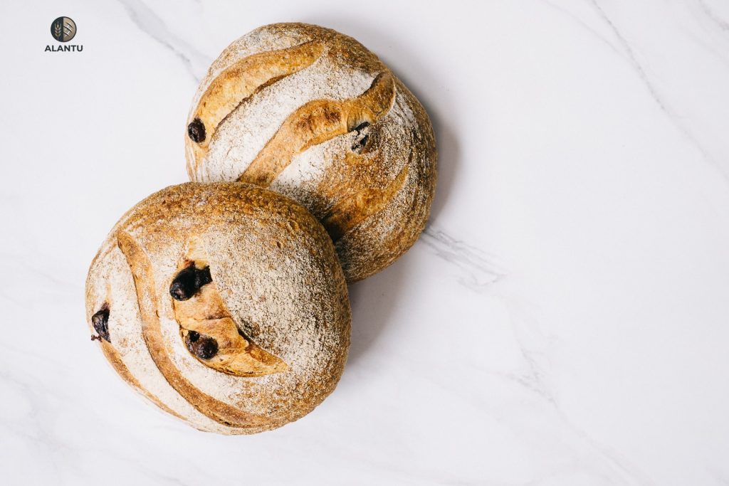 alantu kalamata olive sourdough top view.jpg