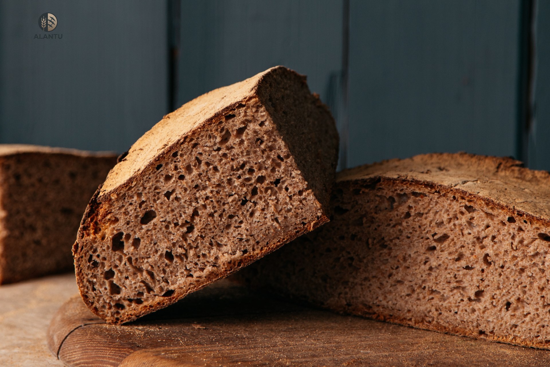 alantu wholemeal barber wheat sourdough crumb texture.jpg